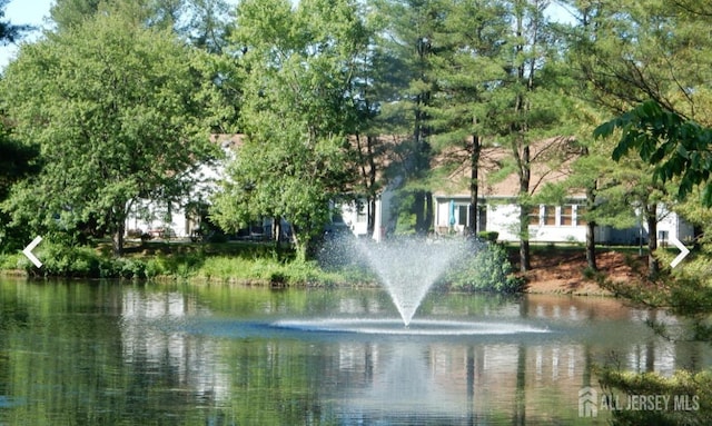 water view