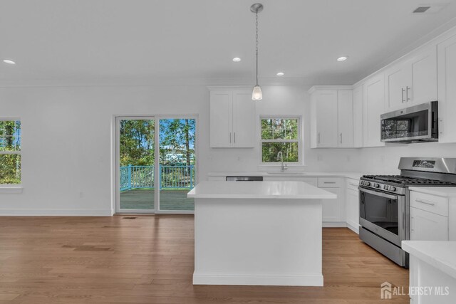 kitchen with appliances with stainless steel finishes, white cabinets, and a healthy amount of sunlight