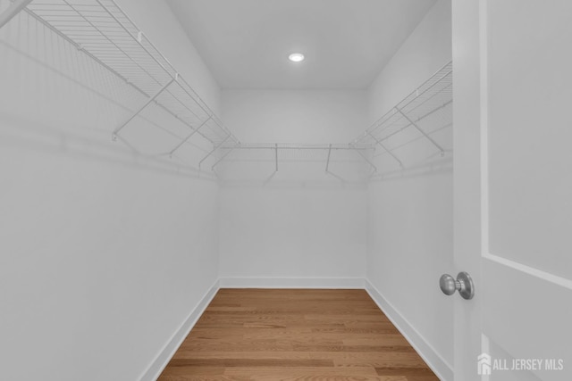 spacious closet with wood-type flooring