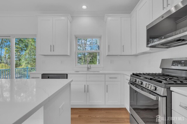 kitchen with a healthy amount of sunlight, stainless steel appliances, and white cabinetry