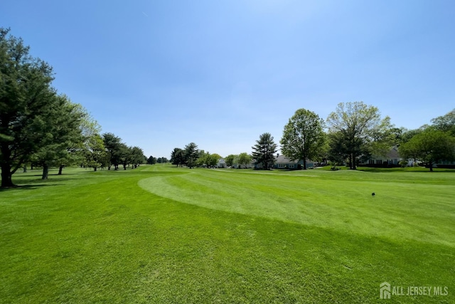 surrounding community featuring a yard