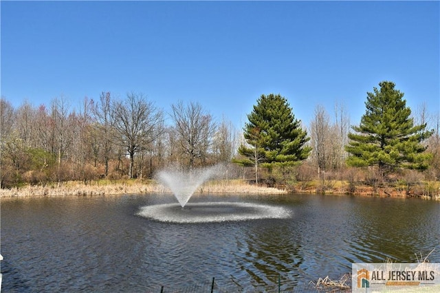 525 Harrier Dr Unit 525, Monroe, NJ 08831 - water view