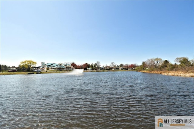 525 Harrier Dr Unit 525, Monroe, NJ 08831 - water view