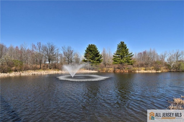 525 Harrier Dr Unit 525, Monroe, NJ 08831 - water view