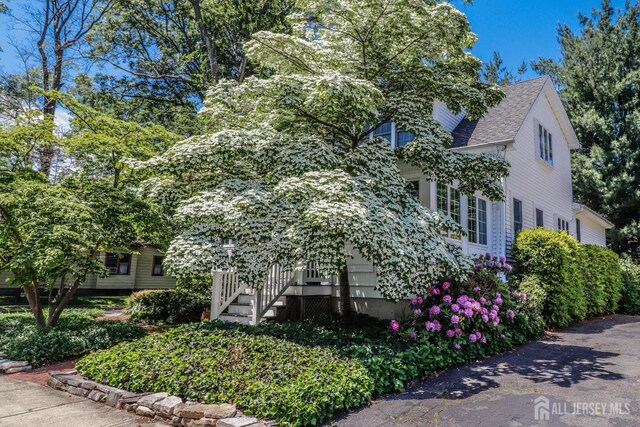 217 Midland Ave, Metuchen, NJ 08840 - photo 3