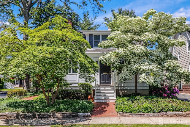 217 Midland Ave, Metuchen, NJ 08840 - view of property hidden behind natural elements featuring a chimney