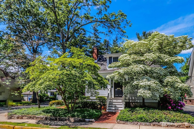 217 Midland Ave, Metuchen, NJ 08840 - view of property hidden behind natural elements with a chimney and a porch