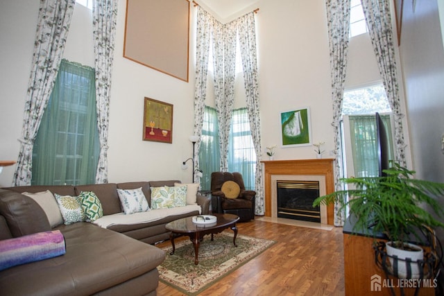 living room with hardwood / wood-style flooring and a towering ceiling