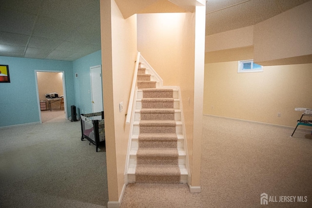 staircase with carpet floors and a drop ceiling