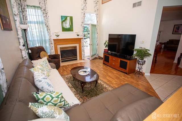 living room with wood-type flooring