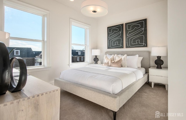 302 Nash Ave, West Windsor, NJ 08550 - view of carpeted bedroom