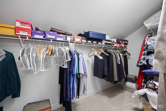 1 Jester Ct, Monroe, NJ 08831 - walk in closet with carpet floors
