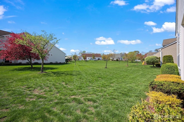 1 Jester Ct, Monroe, NJ 08831 - view of green lawn