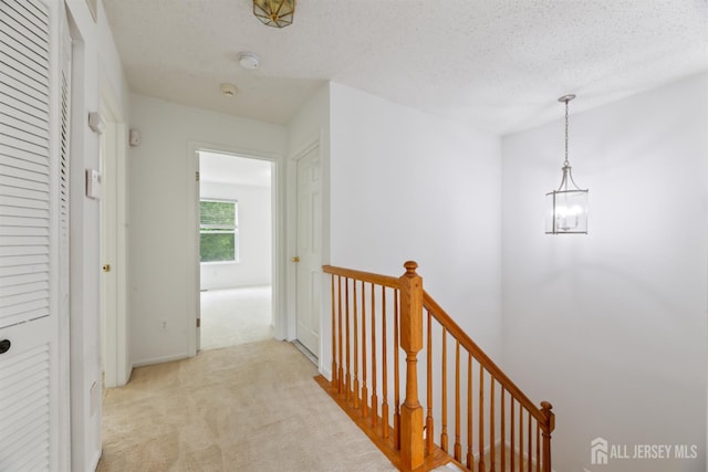 44 Treat Ln, East Brunswick, NJ 08816 - hallway featuring an upstairs landing, light carpet, and a textured ceiling