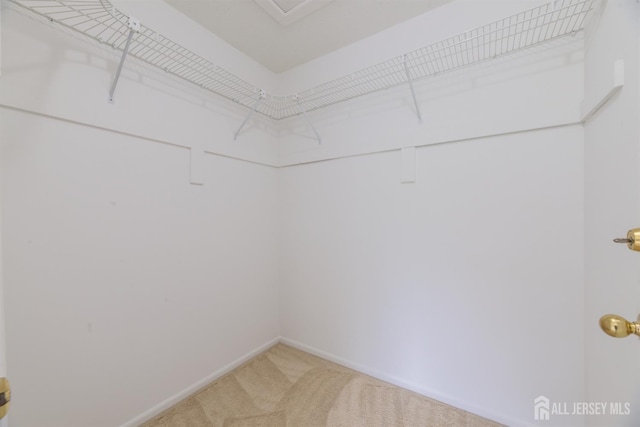 44 Treat Ln, East Brunswick, NJ 08816 - walk in closet with light carpet