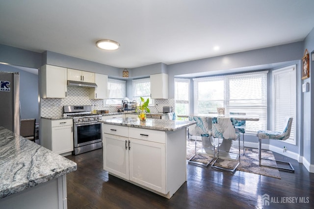 kitchen with white cabinets, light stone counters, under cabinet range hood, and stainless steel appliances