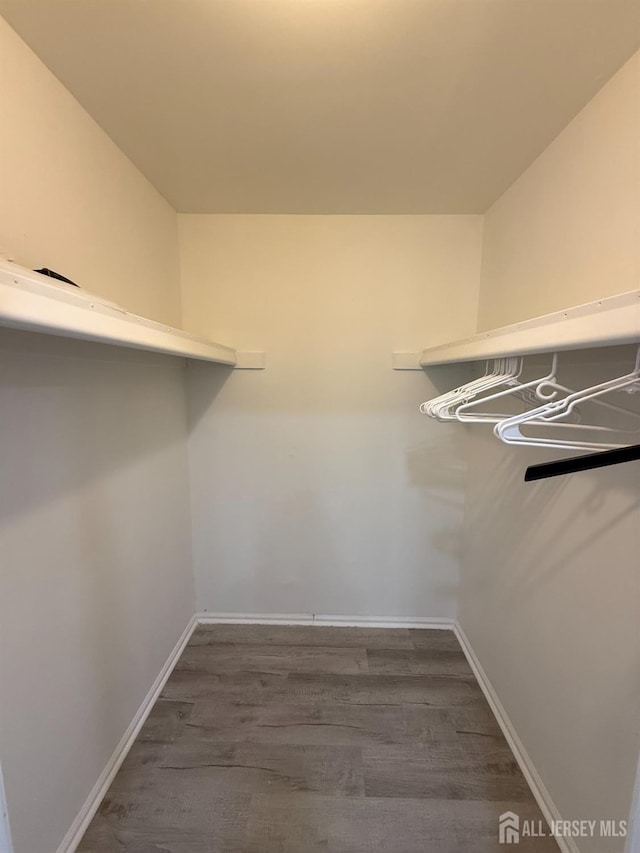 104 Morgan Pl E, Brunswick, NJ 08816 - walk in closet with dark wood-style floors
