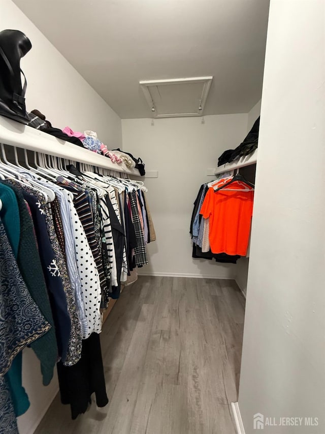 104 Morgan Pl E, Brunswick, NJ 08816 - spacious closet featuring attic access and wood finished floors