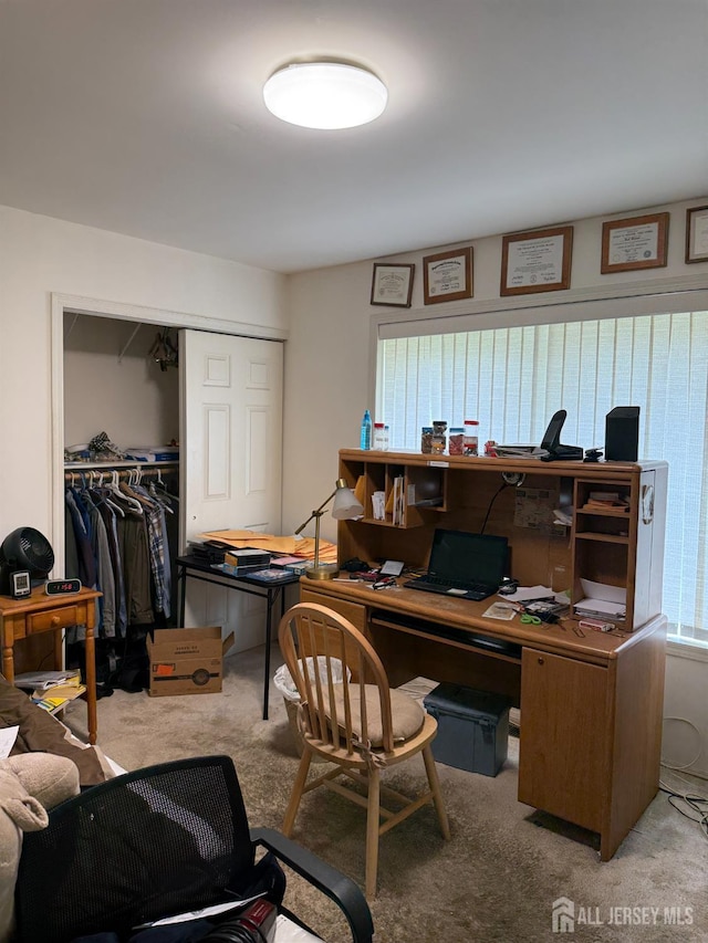 145 Concordia Cir Unit A, Monroe, NJ 08831 - office space featuring carpet