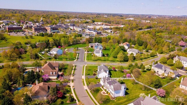 4 Cottonwood Ct, Plainsboro, NJ 08536 - aerial perspective of suburban area