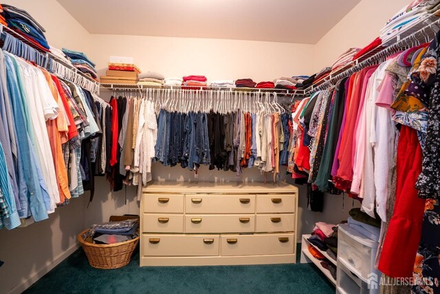 3 Clark Ct, Monroe, NJ 08831 - spacious closet with carpet