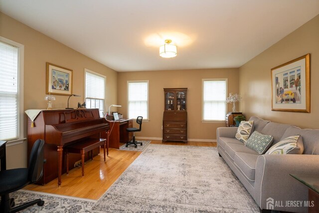 3 Clark Ct, Monroe, NJ 08831 - living room featuring baseboards and wood finished floors