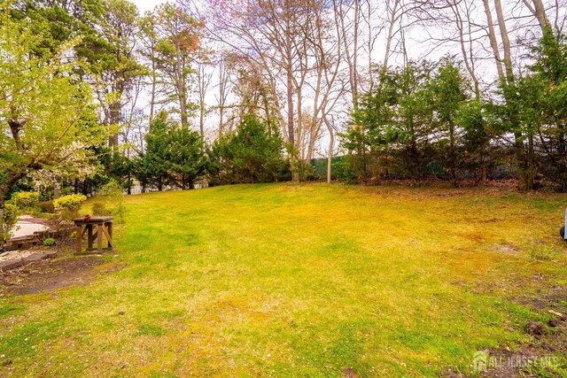 3 Clark Ct, Monroe, NJ 08831 - view of yard