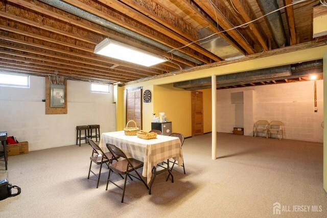 3 Clark Ct, Monroe, NJ 08831 - below grade area with electric panel, carpet flooring, and concrete block wall