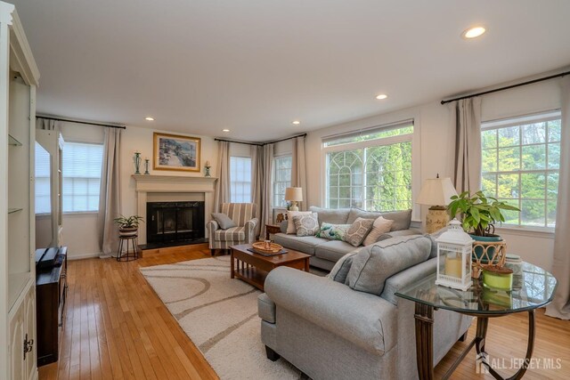 3 Clark Ct, Monroe, NJ 08831 - living room with a fireplace, light wood finished floors, and recessed lighting