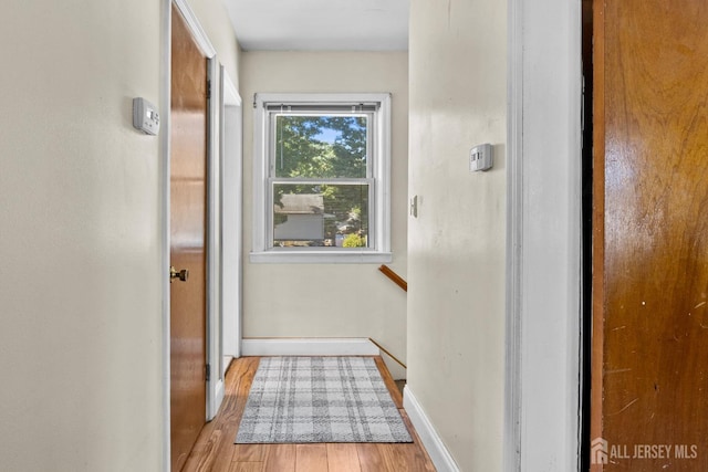 doorway to outside with baseboards and wood finished floors