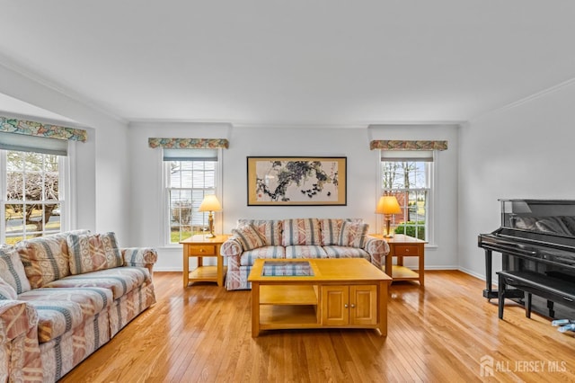 living room featuring crown molding and light hardwood / wood-style flooring