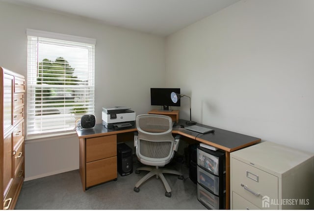 71 S Sagamore Ave, Edison, NJ 08820 - office area featuring light carpet and baseboards