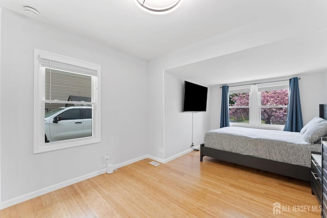 9 Hatakawana Ter, Mount Olive, NJ 07828 - bedroom with light wood finished floors and baseboards