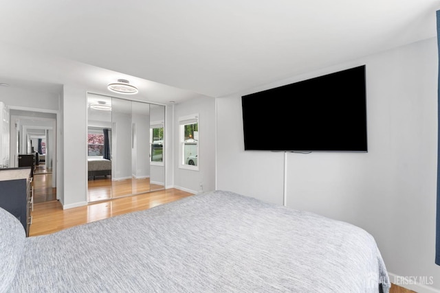 9 Hatakawana Ter, Mount Olive, NJ 07828 - bedroom with light wood-style floors and a closet