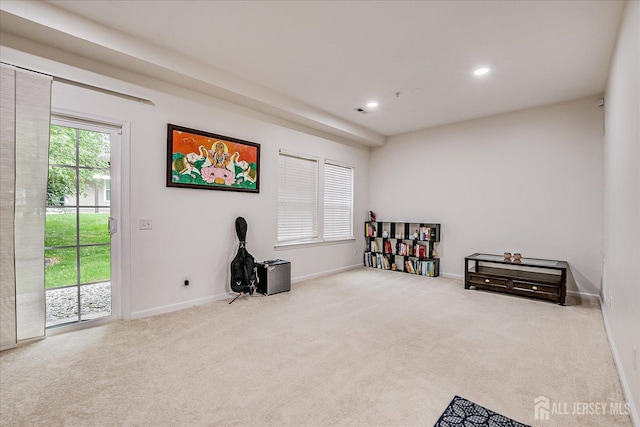 801 Mia Dr, Highland Park, NJ 08904 - photo 38