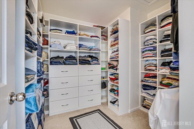 801 Mia Dr, Highland Park, NJ 08904 - photo 32