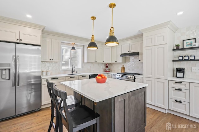 39 Embroidery St, Sayreville, NJ 08879 - kitchen featuring stainless steel appliances, under cabinet range hood, light wood-type flooring, backsplash, and a kitchen island