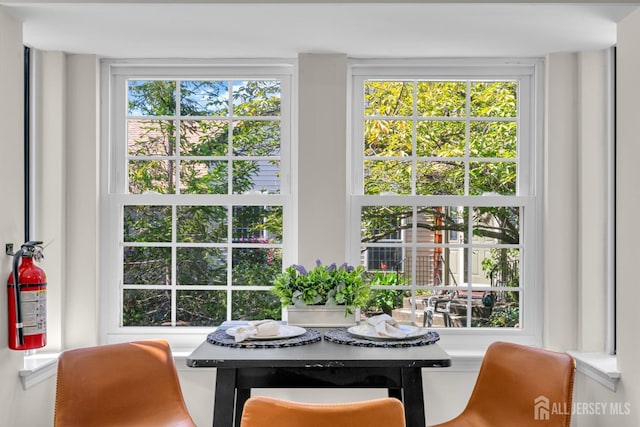 dining area with a wealth of natural light