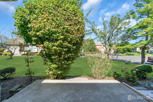 view of yard with a patio