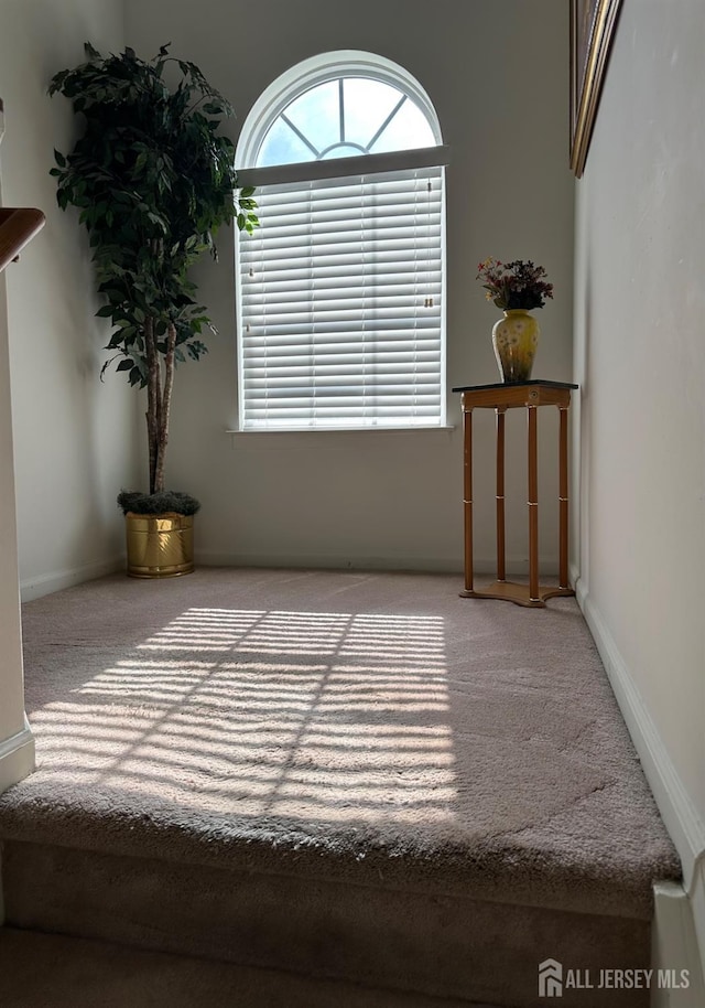 carpeted empty room with baseboards