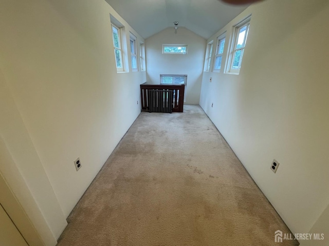 309 S 2nd Ave S, Highland Park, NJ 08904 - hallway with light carpet and vaulted ceiling