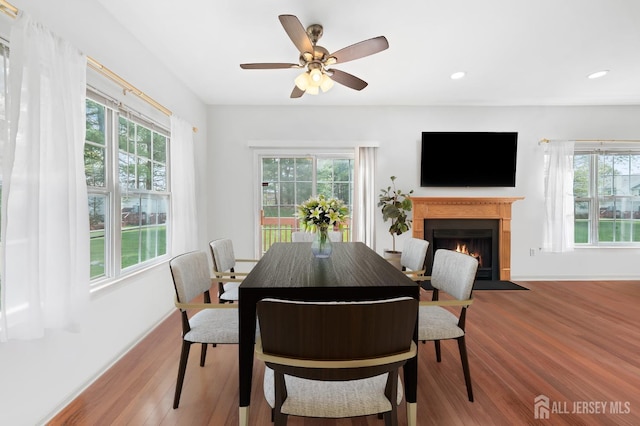 dining room featuring plenty of natural light, a fireplace with flush hearth, and wood finished floors