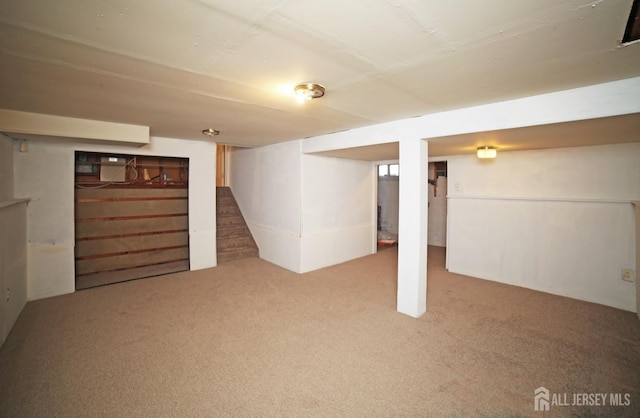 basement featuring carpet