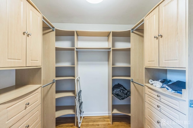 45 S Brook Dr, Milltown, NJ 08850 - spacious closet with light wood-style flooring
