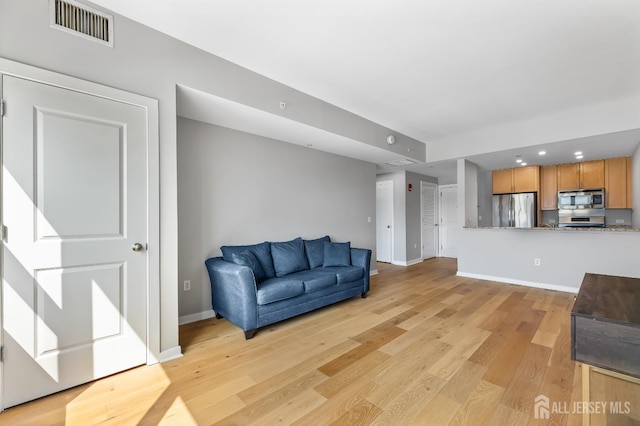 20 Livingston Ave Unit 905, New Brunswick, NJ 08901 - living room with light wood-type flooring and recessed lighting