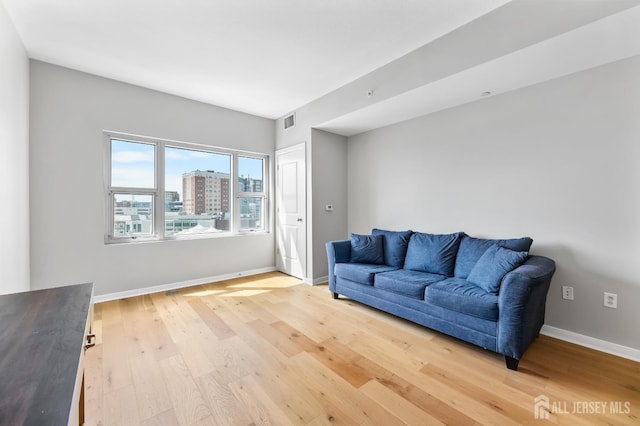 20 Livingston Ave Unit 905, New Brunswick, NJ 08901 - living area featuring light wood-style floors and baseboards