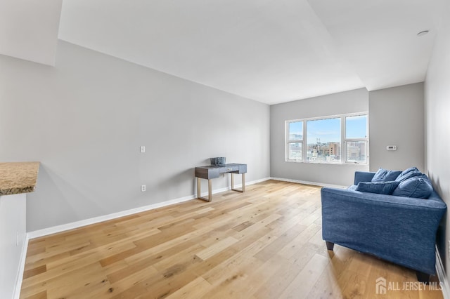 20 Livingston Ave Unit 905, New Brunswick, NJ 08901 - living room with light wood-style flooring and baseboards