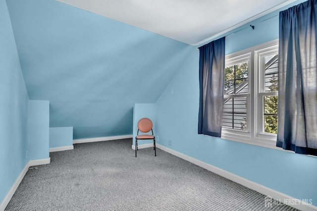 436 2nd St, Dunellen, NJ 08812 - additional living space with carpet and vaulted ceiling