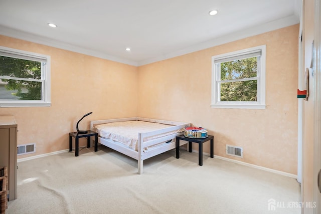 6 Schindler Ct, East Brunswick, NJ 08816 - bedroom with carpet floors, crown molding, and recessed lighting