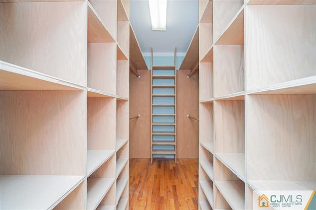 spacious closet featuring light wood finished floors